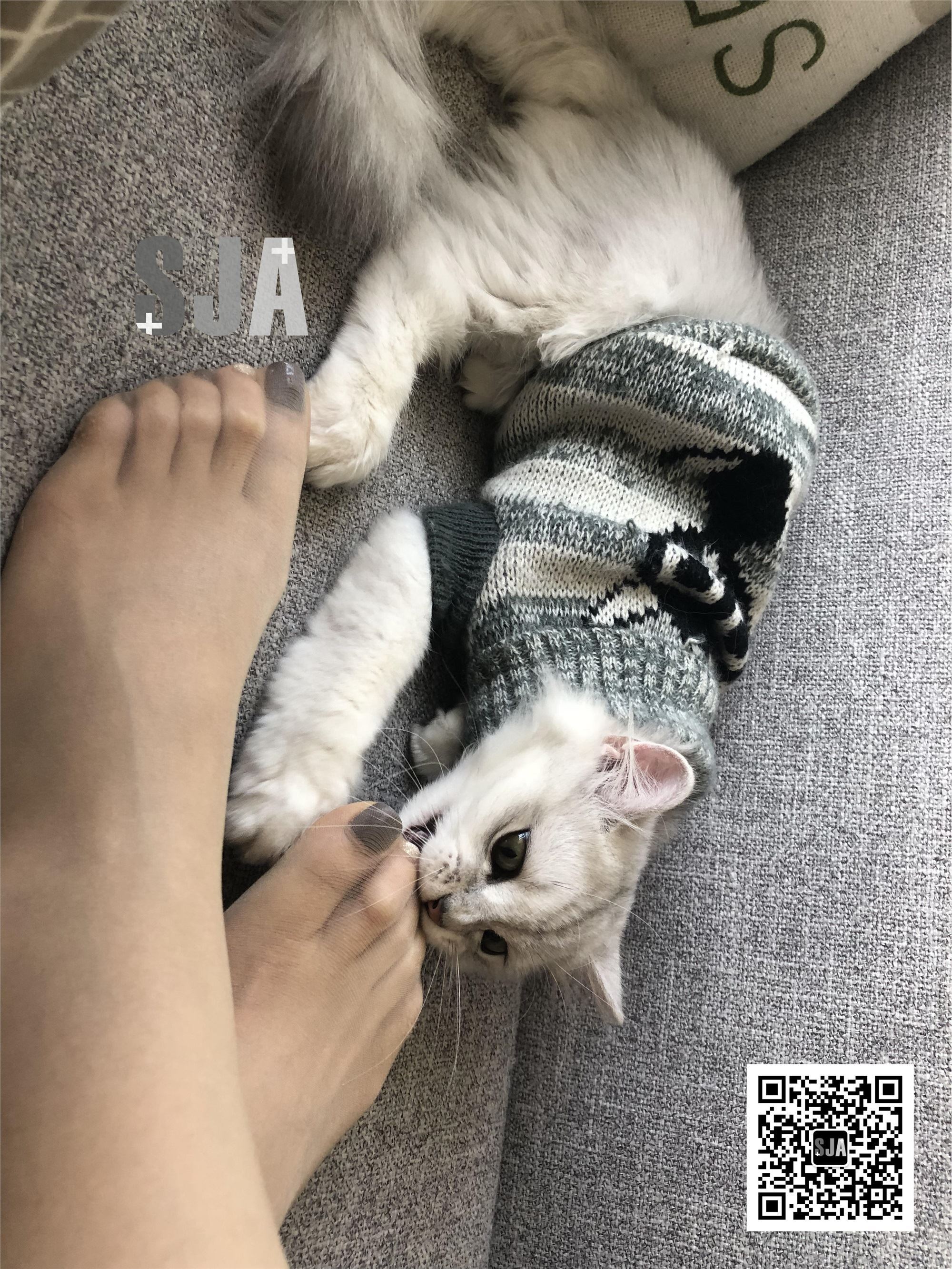 SJA佳爷 闺蜜视角 NO.013 喵